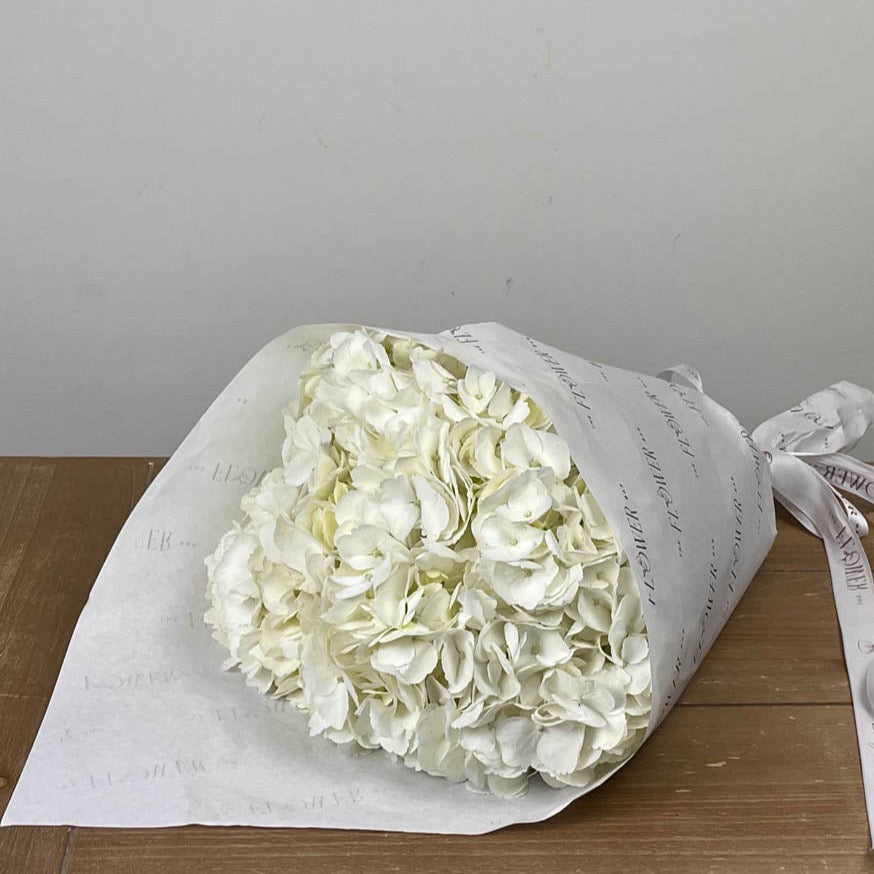 3 White Hydrangeas