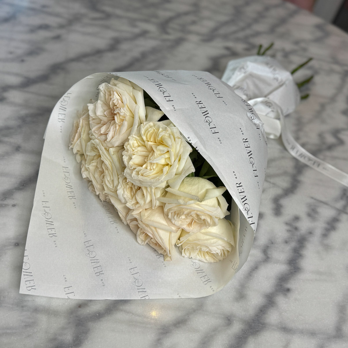 10 White O'Hara Roses