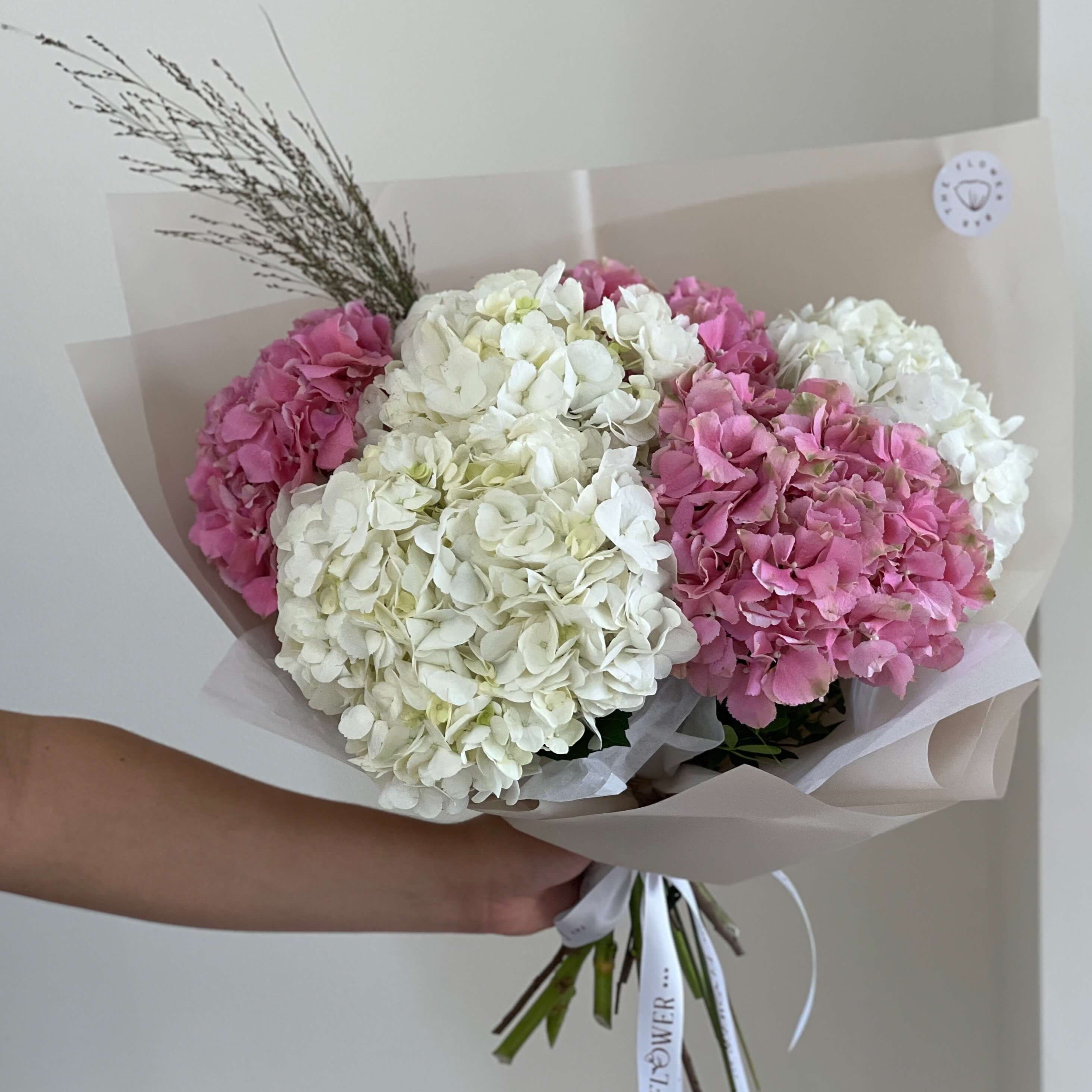Mixed Hydrangea