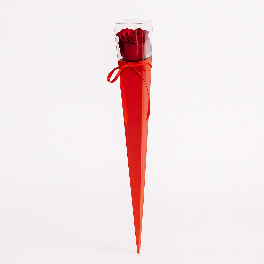 Single Rose Red