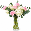 CARNATIONS & HYDRANGEA
