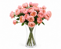9 Julietta Spray Roses