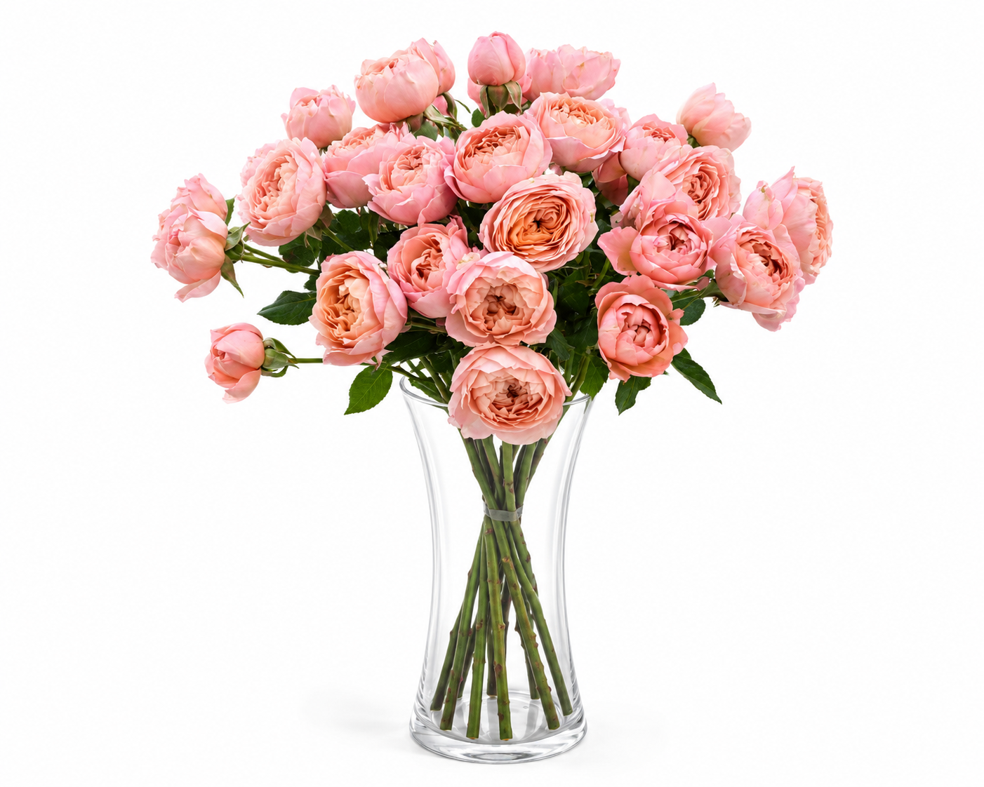 9 Julietta Spray Roses