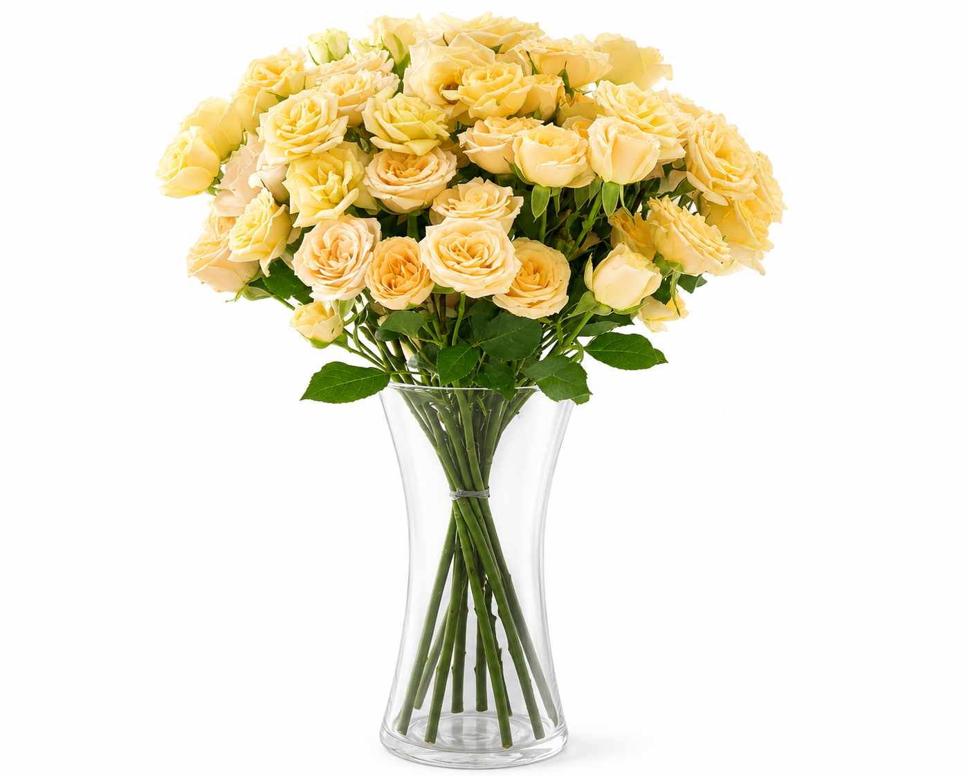 10 Salinero Spray Roses