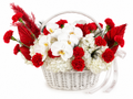 White Basket with White and Red Flowers