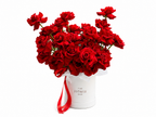 Red Roses in Box (Large)