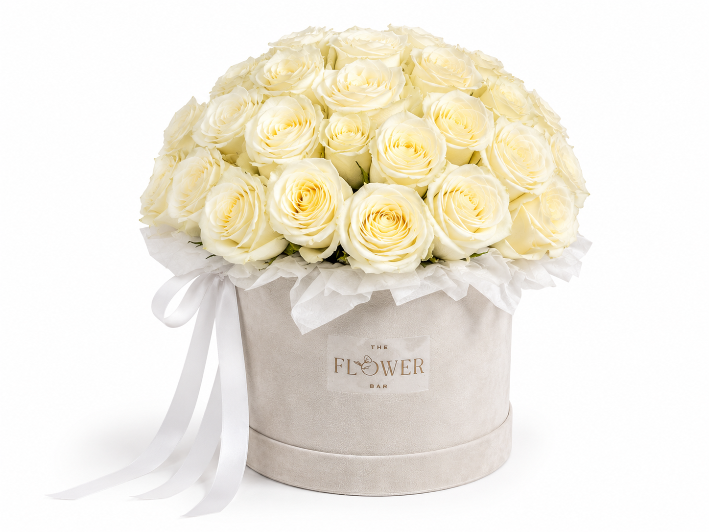 Velvet Box with 35 White Roses
