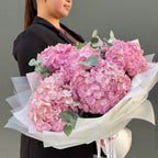 Five Hydrangeas