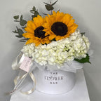 Hydrangea And Sunflower