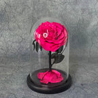 Forever Rose Rosy