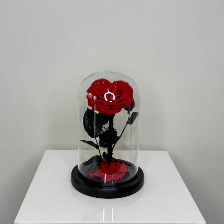 Forever Rose Red Heart