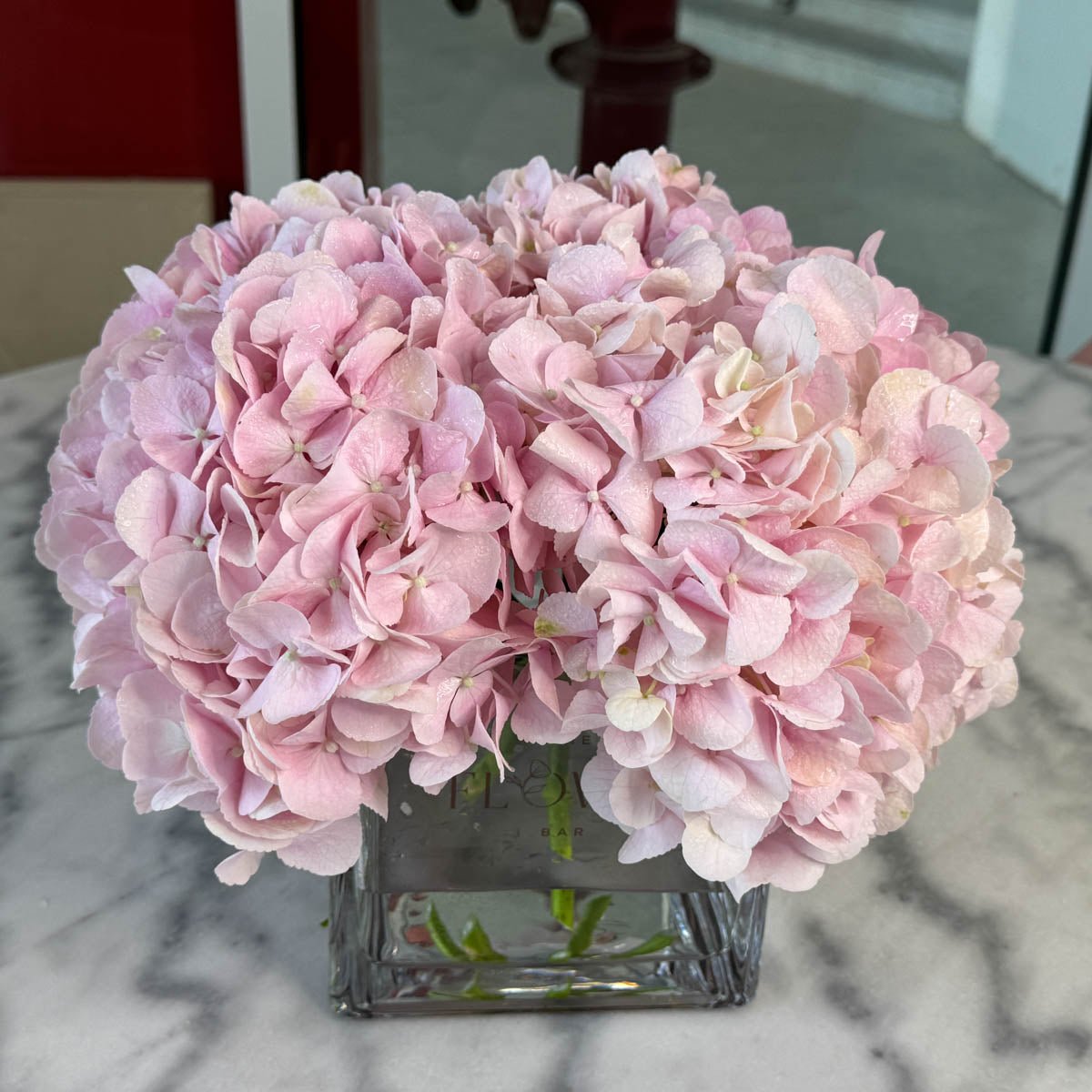 Square vase with 5 pink Hydrangeas