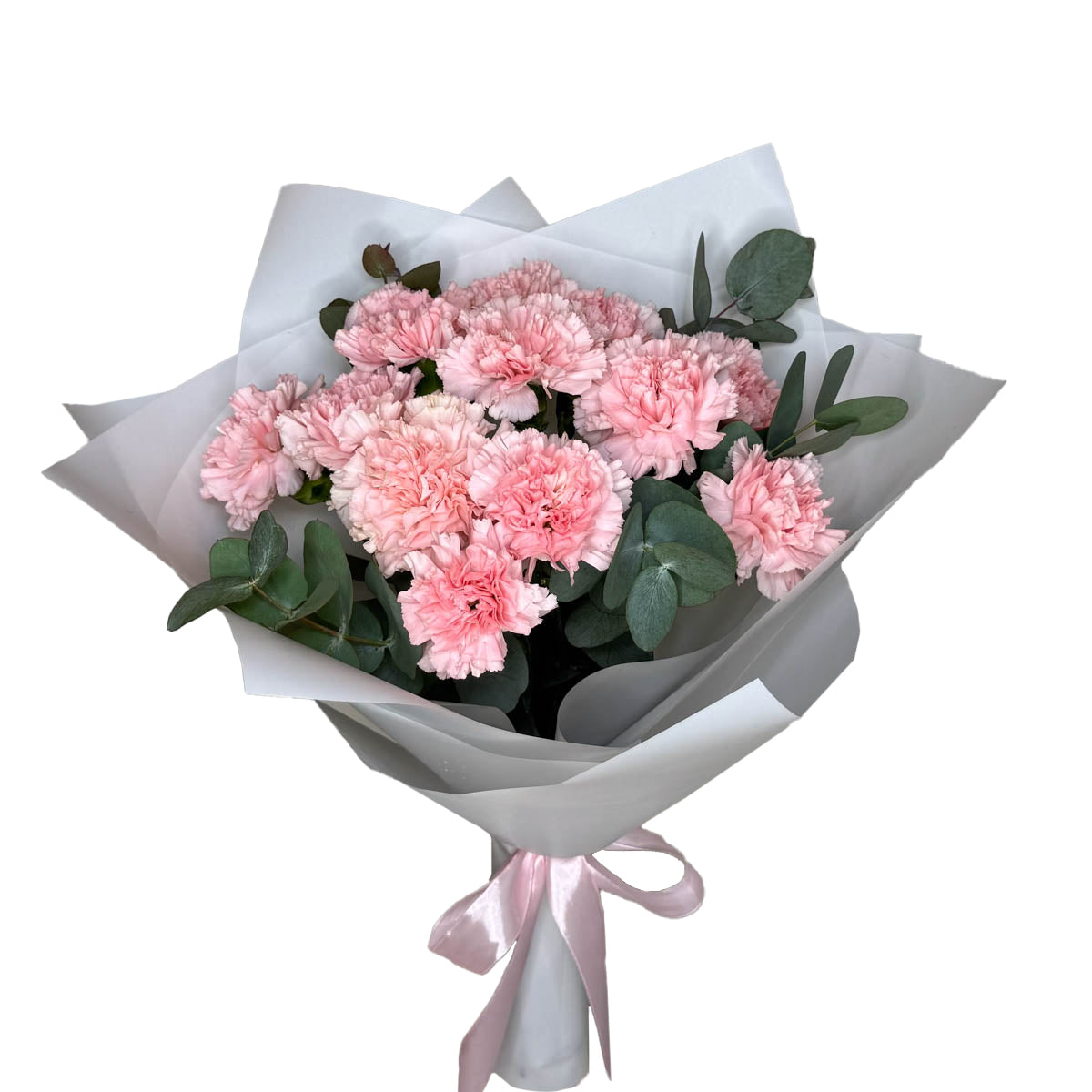 Blush Pink Carnation Bouquet