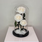 Forever Rose White (3 Roses)