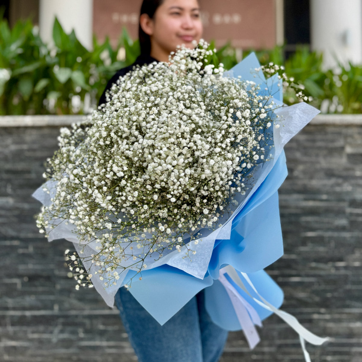 Symphony Gypsophila