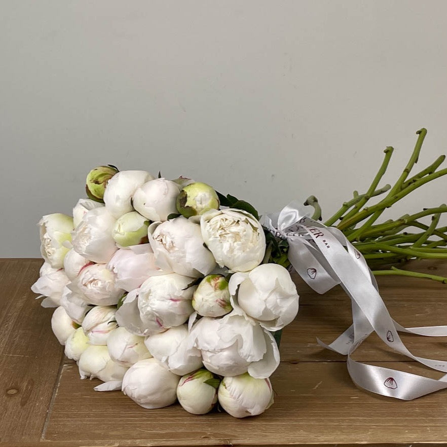 30 White Peonies