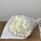 3 White Hydrangeas