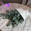 Fresh Eucalyptus