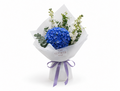 Blue Hydrangea and Matthiola