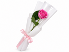 Single Rose