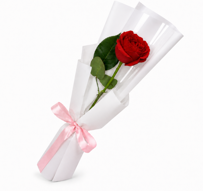 Single Rose