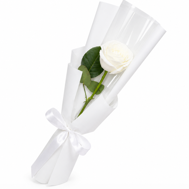 Single Rose
