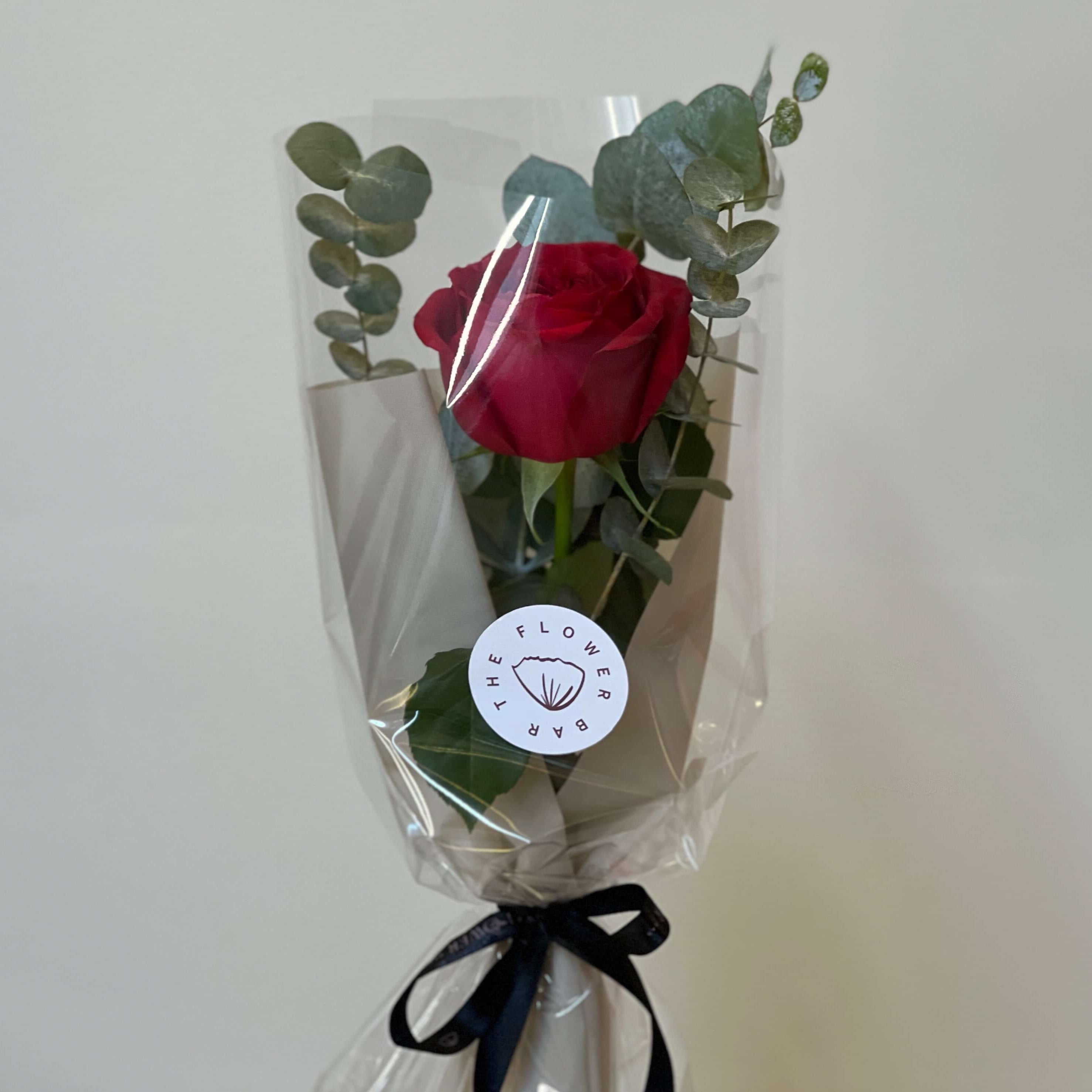 Single Rose Compliment